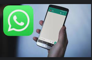 Antes de la fecha de inicio te agregaremos a al grupo de WhatsApp<br>